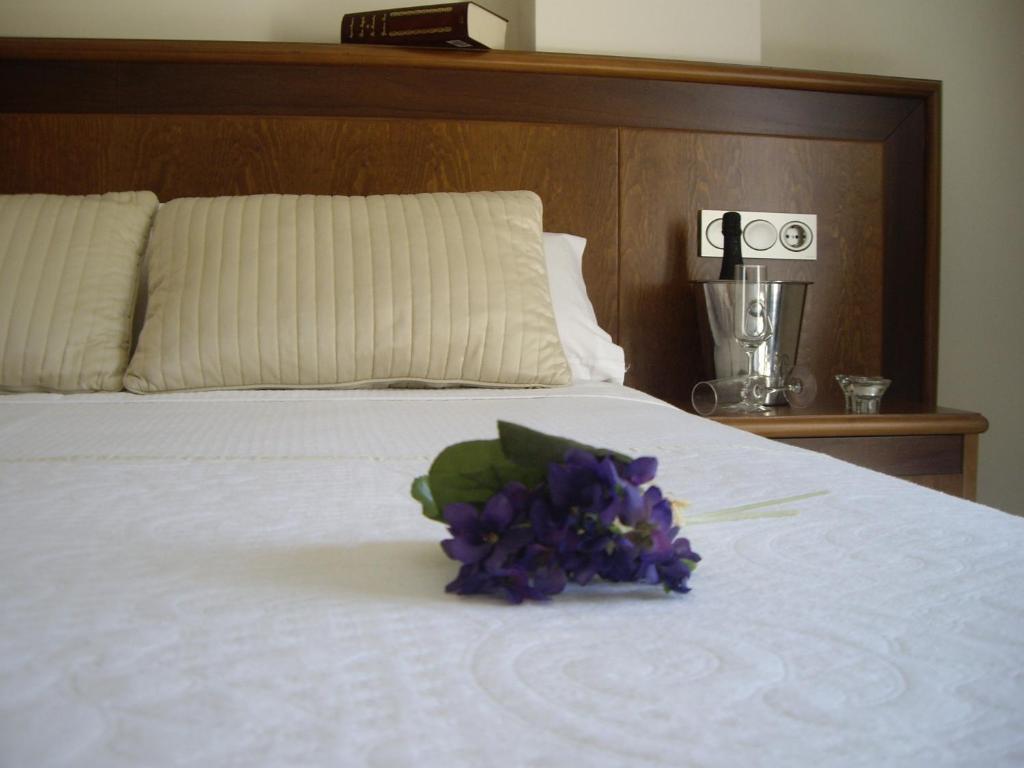 Hotel San Sebastian Hospederia Сьеса Номер фото